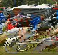 Comboyne - New Castle Holiday