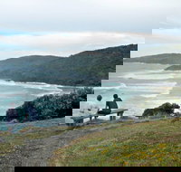 Connors Walking Track - New Castle Holiday