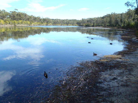Conjola National Park - New Castle Holiday 0