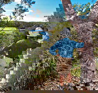 Corkwood and Scribbly Gum Walking Track - New Castle Holiday