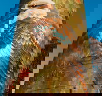 Deniliquin Water Tower Mural - New Castle Holiday