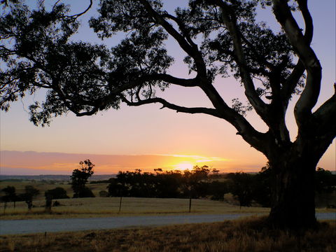 Eden Valley Lookout - New Castle Holiday 0