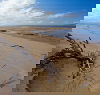 Edmund Kennedy Girramay National Park - New Castle Holiday