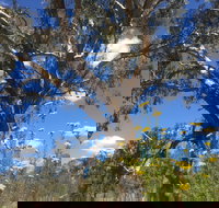 Euroa Arboretum - New Castle Holiday