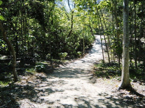 Federation Walk - New Castle Holiday 2