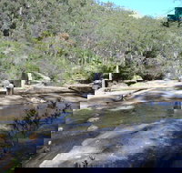 Frere's Crossing Bushwalk - New Castle Holiday