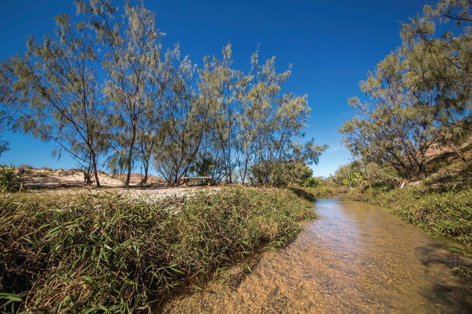 Farnborough QLD New Castle Holiday