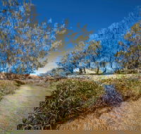 Freshwater Creek Track Byfield National Park - New Castle Holiday