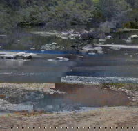 Georges Creek - New Castle Holiday