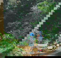Gloucester National Park - New Castle Holiday