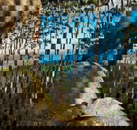 Gulaga Mountain Walk - New Castle Holiday