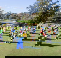 Hello Koalas Sculpture Trail - New Castle Holiday