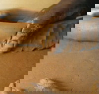 Hermannsburg Potters - New Castle Holiday