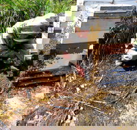 Honey Tasmania - The Beehive - New Castle Holiday