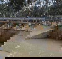 Lawson Syphon - New Castle Holiday