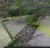 Leschenault Peninsula Conservation Park - New Castle Holiday