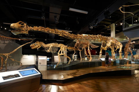 Melbourne Museum - New Castle Holiday 1