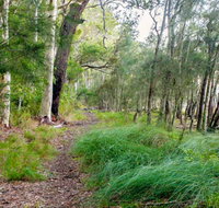 Meroo Lake walking track - New Castle Holiday