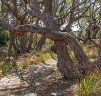 Middle Lagoon Walking Track - New Castle Holiday