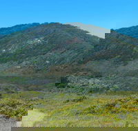 Monument Hill Walking Track - New Castle Holiday