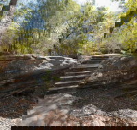 Mooney Mooney nature walk - New Castle Holiday