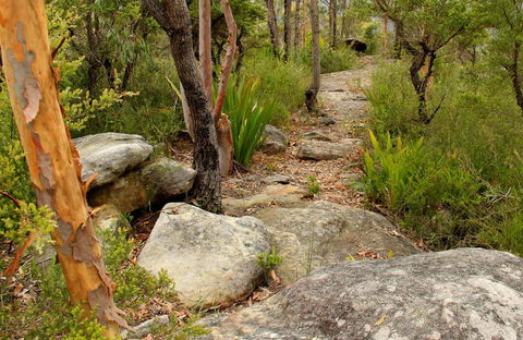 Mount Olive Trail - New Castle Holiday 0