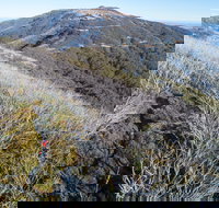 Mt Buller Bike Park - New Castle Holiday