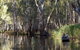 Murray Valley Regional Park - thumb 1