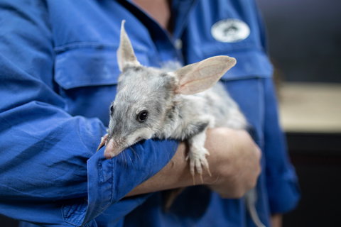 Natural Sciences Loop - New Castle Holiday 2