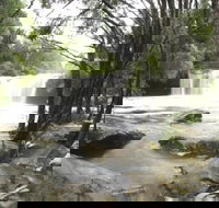 Nellies Glen Carrington Falls - New Castle Holiday