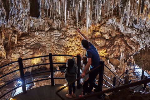 Ngilgi Cave - New Castle Holiday 0