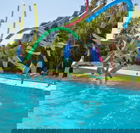 Oaklands War Memorial Swimming Pool - New Castle Holiday