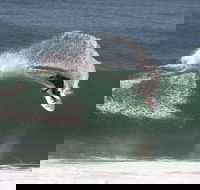 Old Bar - New Castle Holiday