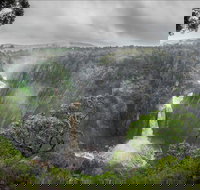 Oxley Wild Rivers National Park - New Castle Holiday