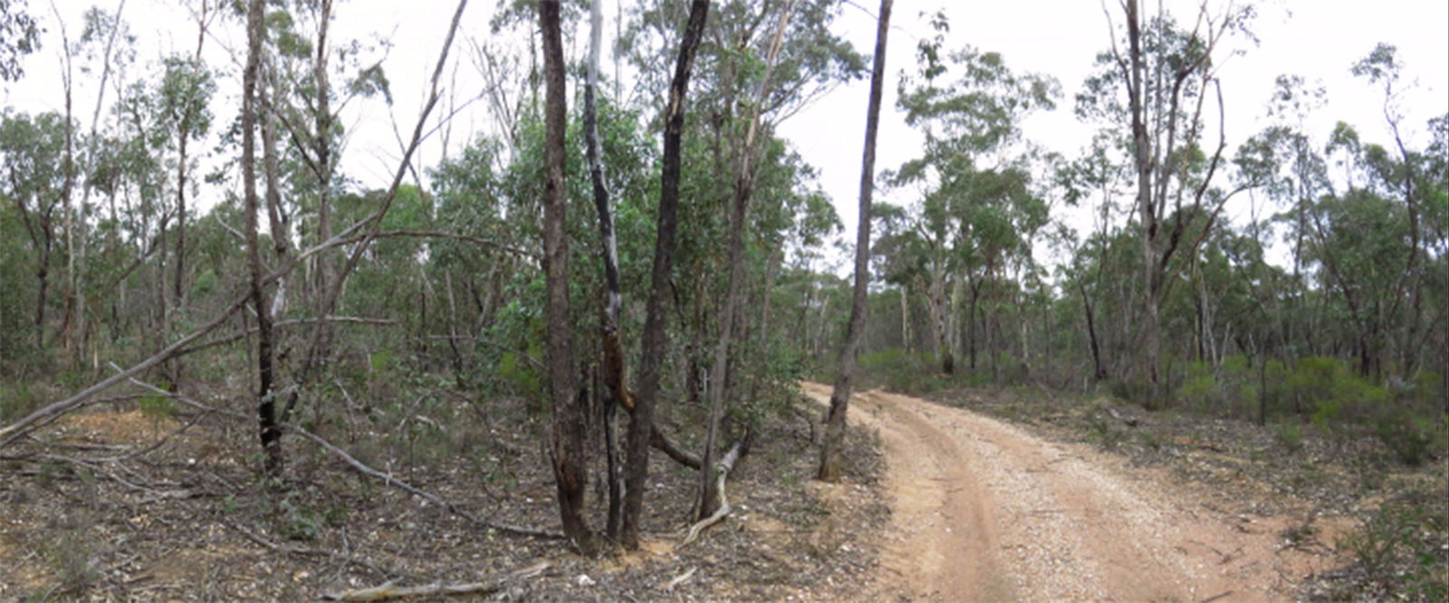 Adelaide Lead VIC New Castle Holiday