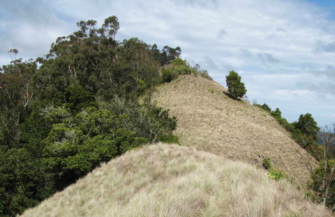 Pieries Peak Walking Track - New Castle Holiday 0