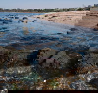 Point Cook Marine Sanctuary - New Castle Holiday