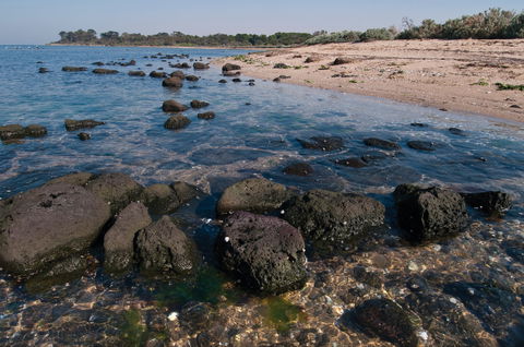 Point Cook Marine Sanctuary - New Castle Holiday 0