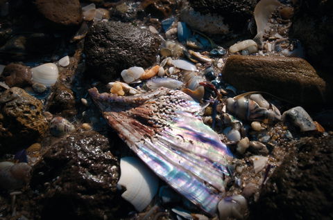 Point Cook Marine Sanctuary - New Castle Holiday 1