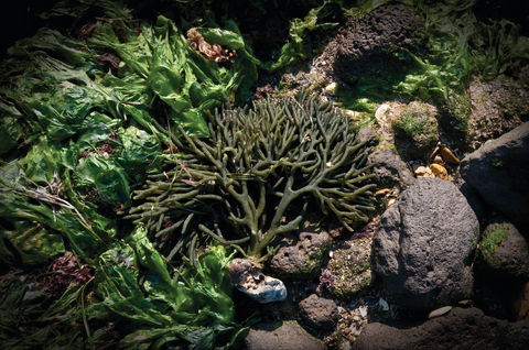 Point Cook Marine Sanctuary - New Castle Holiday 2