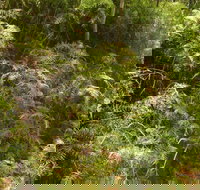 Powder Magazine walking track - New Castle Holiday