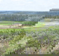 Princess Hills Girringun National Park - New Castle Holiday