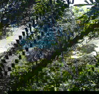 Rainforest Walking Track Hat Head National Park - New Castle Holiday