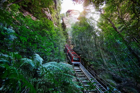 Scenic World Blue Mountains - New Castle Holiday 0