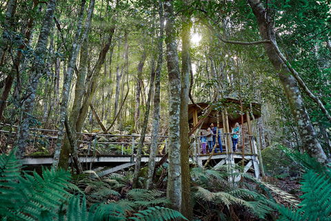 Scenic World Blue Mountains - New Castle Holiday 2