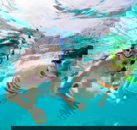 Snorkel Hat Head Creek - New Castle Holiday