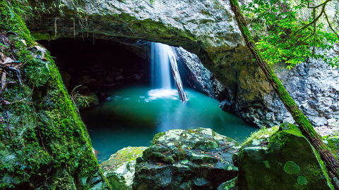 Springbrook - New Castle Holiday 0