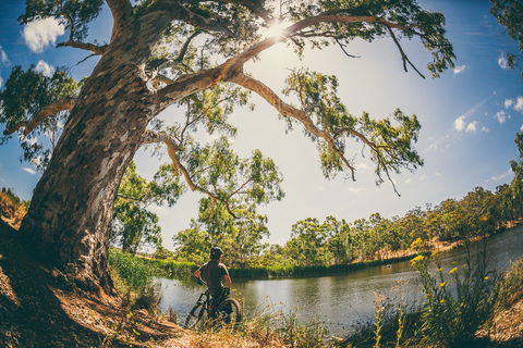 Sturt Gorge Recreation Park - New Castle Holiday 0