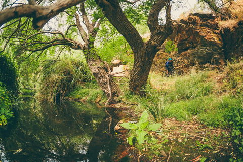 Sturt Gorge Recreation Park - New Castle Holiday 1