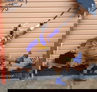 The Story Bank - New Castle Holiday